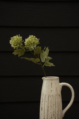 Sedum Spray Green