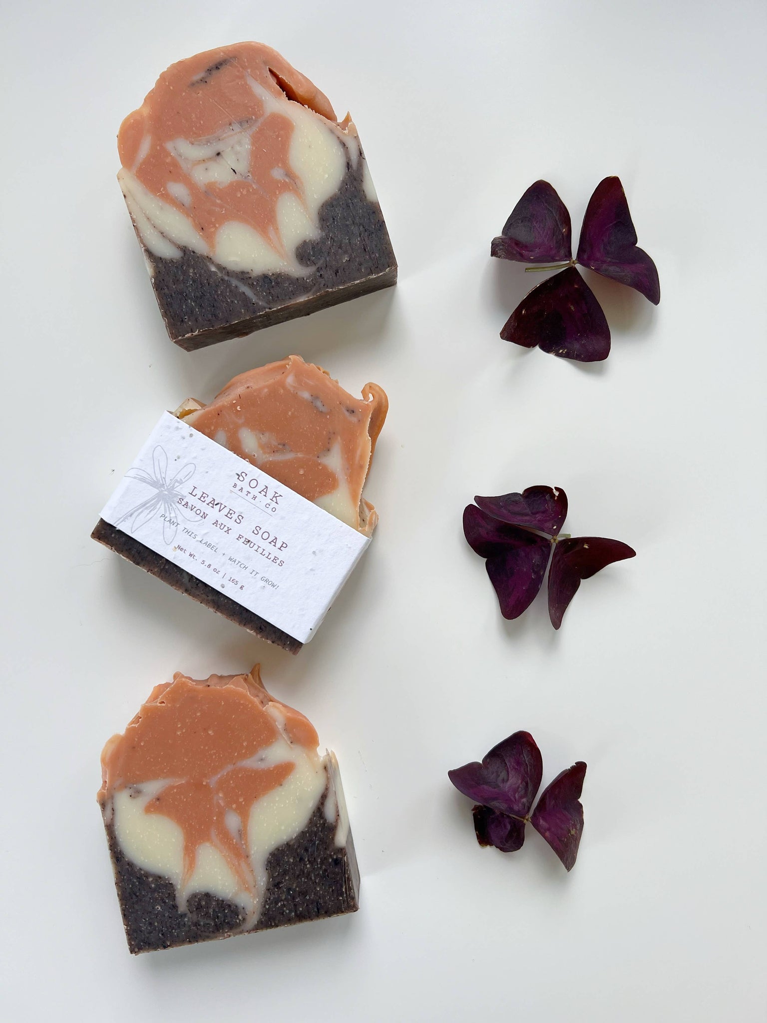Leaves Soap Bar - Fall Collection - Canadian Made