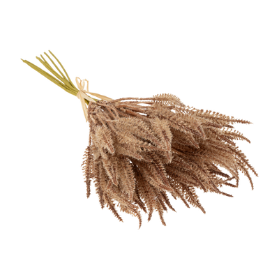 Mini Pampas Grass Bundle - Light Brown