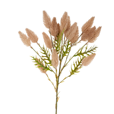 Pussytail Grass Spray