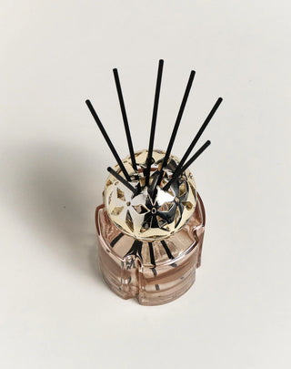 Pomelis Bouquet Reed Diffuser Vanilla Magnificence - Nude - Maison Berger