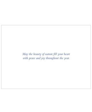 Peter Pauper Press Winter's Song Deluxe Boxed Holiday Cards