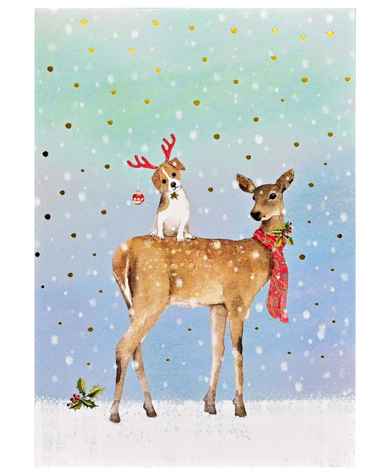 Peter Pauper Press Winter Friends Small Boxed Holiday Cards