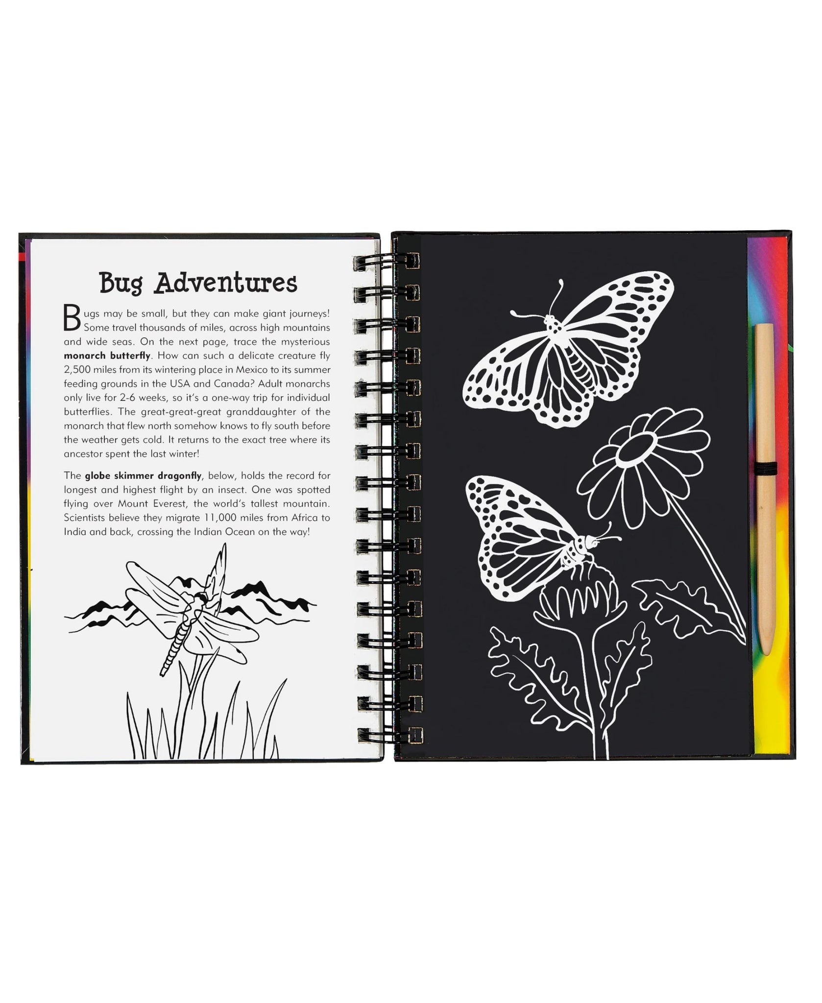 Peter Pauper Press Bugs! Scratch & Sketch