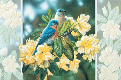 Pumpernickle Bluebirds In Rhododendren Get Well Card