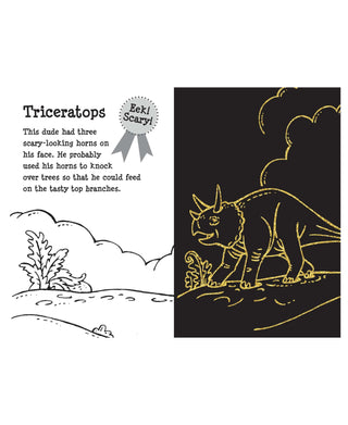 Peter Pauper Press Dino Dudes Scratch and Sketch