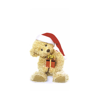Cute Christmas Pocket Tissue