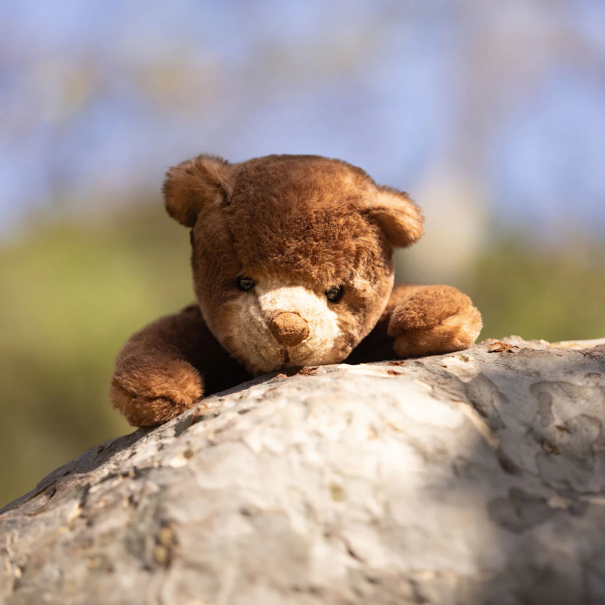 Bukowski Bears Ranger Bear Plush