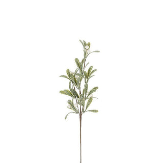 Medium Mistletoe Branch