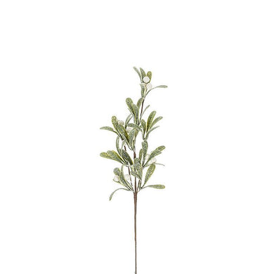 Medium Mistletoe Branch