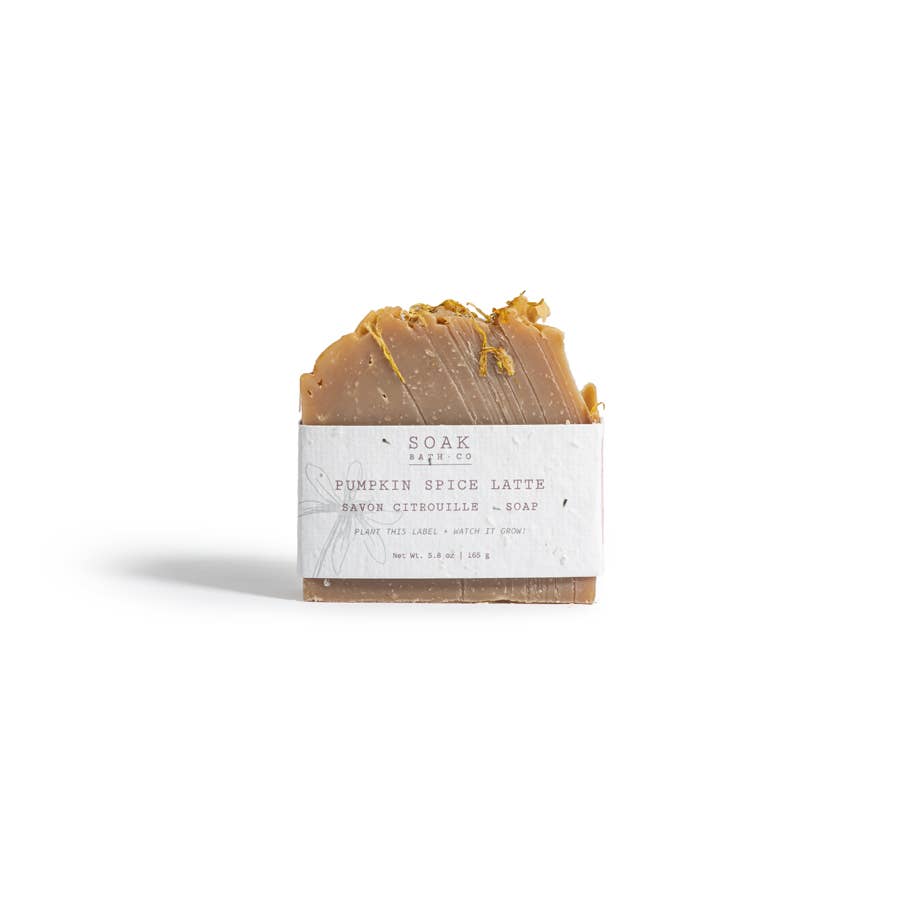 Pumpkin Spice Soap Bar - Fall Collection - Canadian Made