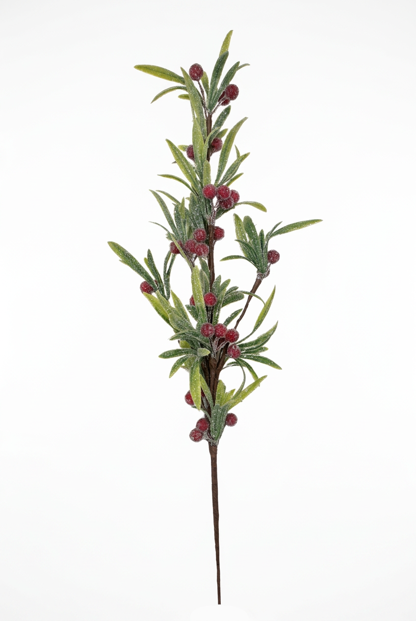 Frosted Mistletoe Pick With Red Berries