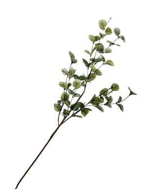 Frosted Eucalyptus Pick