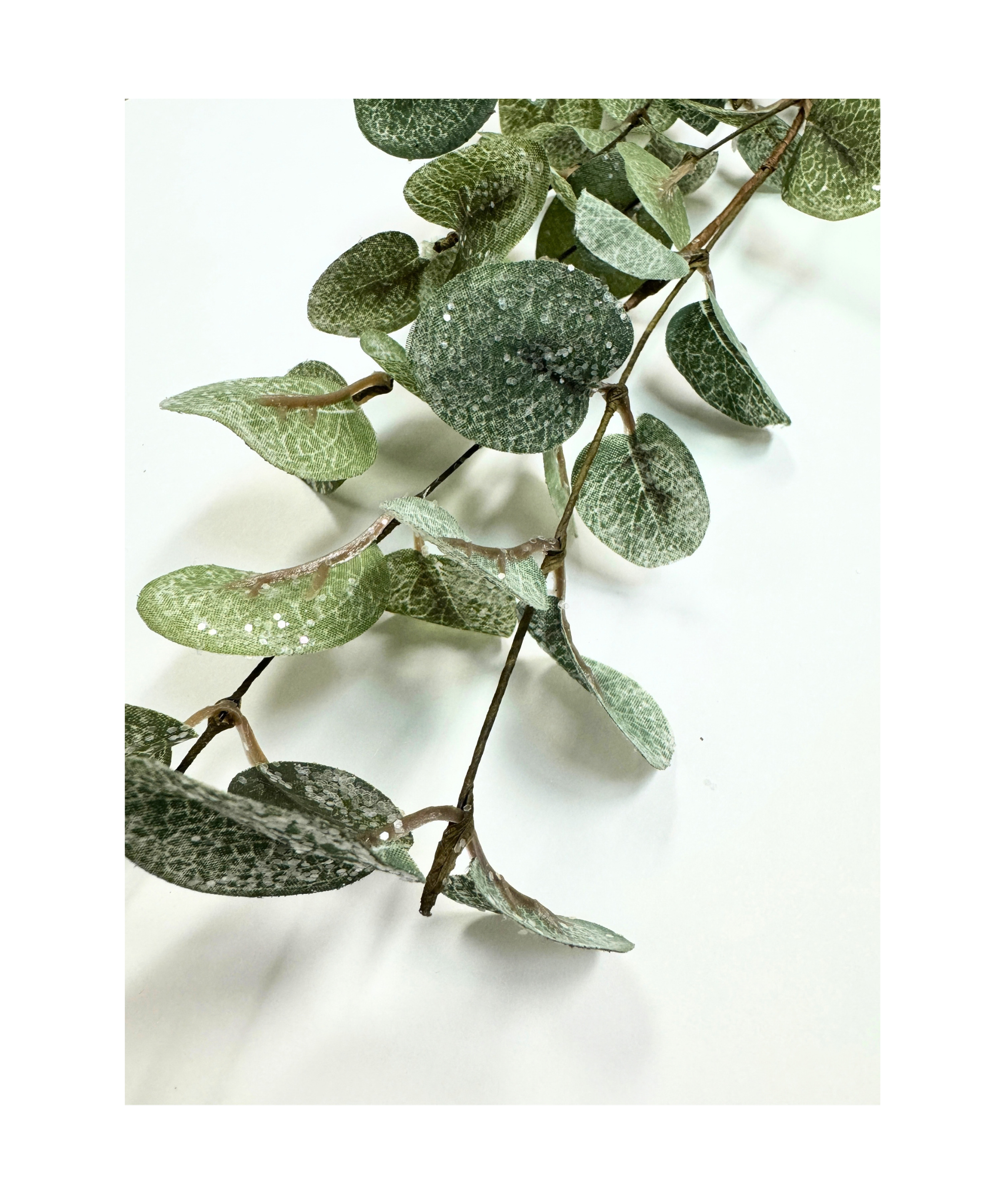 Frosted Eucalyptus Pick
