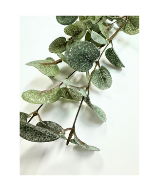 Frosted Eucalyptus Pick