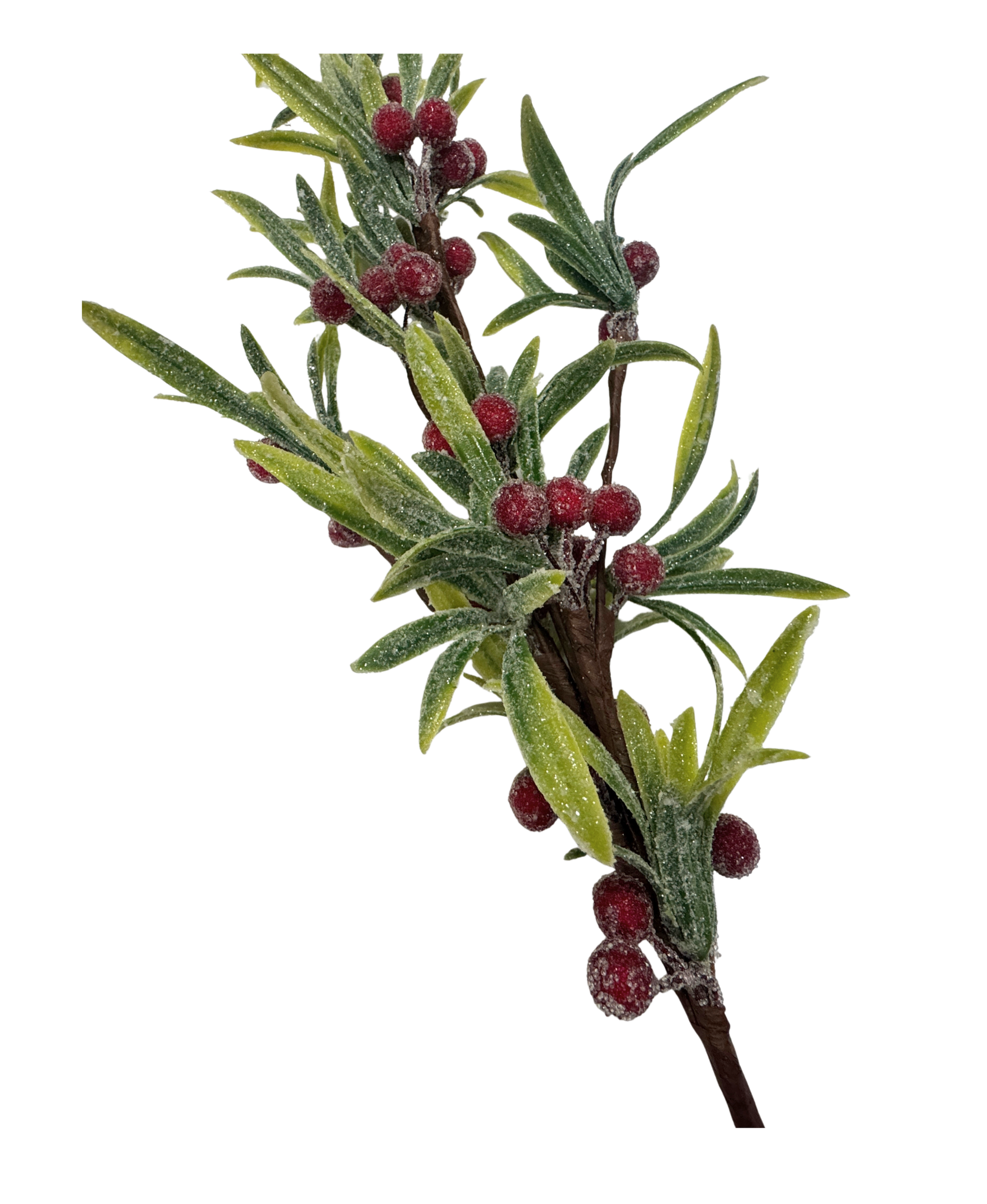 Frosted Mistletoe Pick With Red Berries
