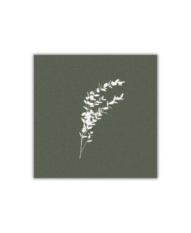 Paviot Eucalyptus Cinera Dinner Napkins