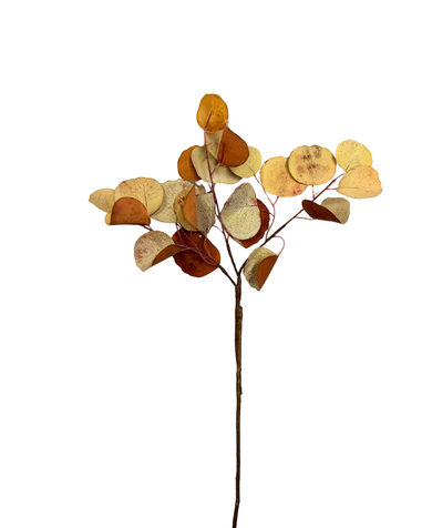 Fall Eucalyptus Pick
