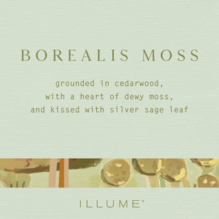 Illume Borealis Moss Reed Diffuser