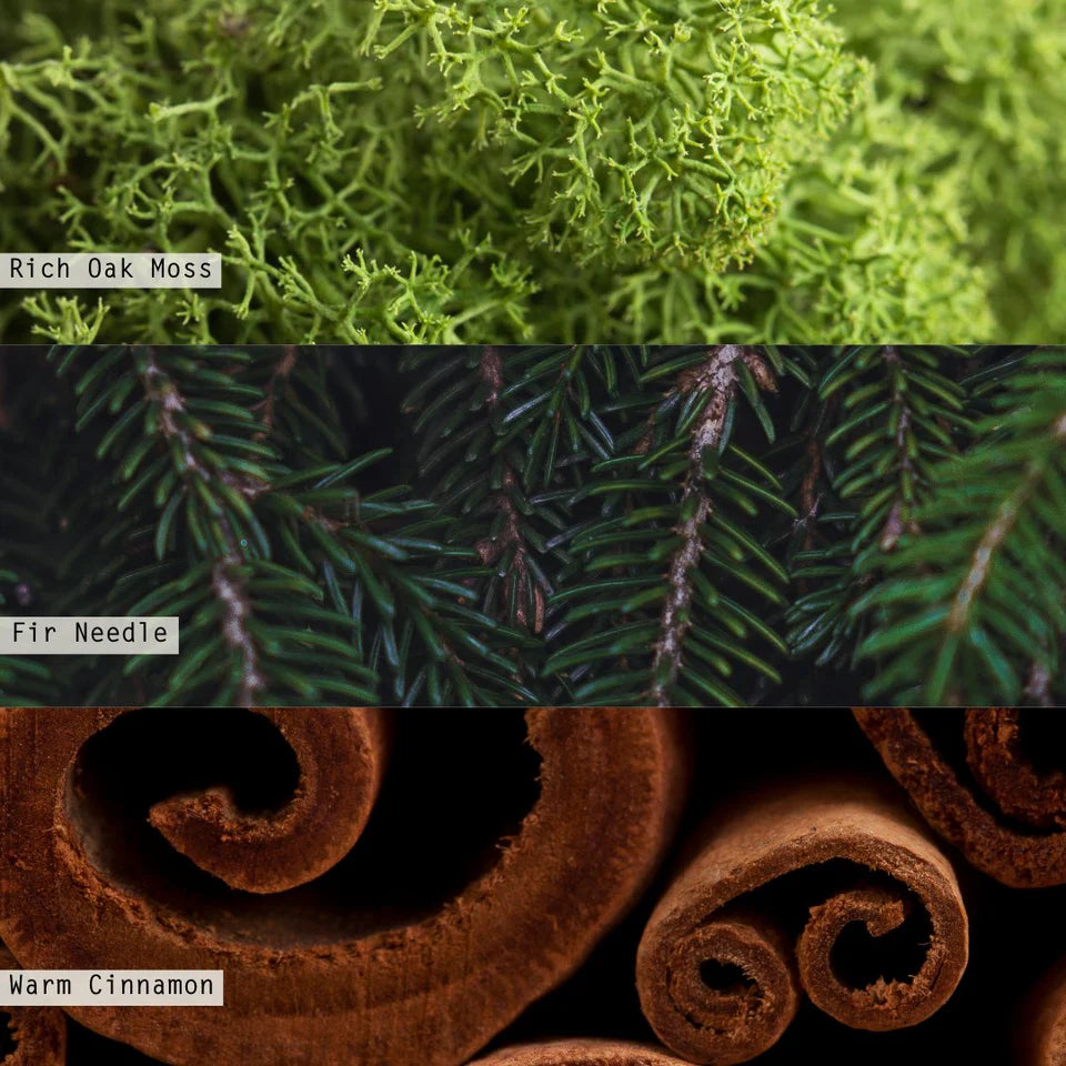 Illume Balsam & Cedar Reed Diffuser