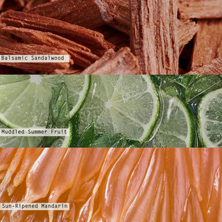 Illume Citrus Crush Reed Diffuser