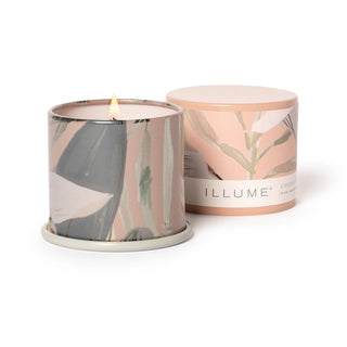Illume Coconut Milk Mango Demi Vanity Tin Candle