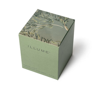 Illume Hinoki Sage Boxed Glass Candle