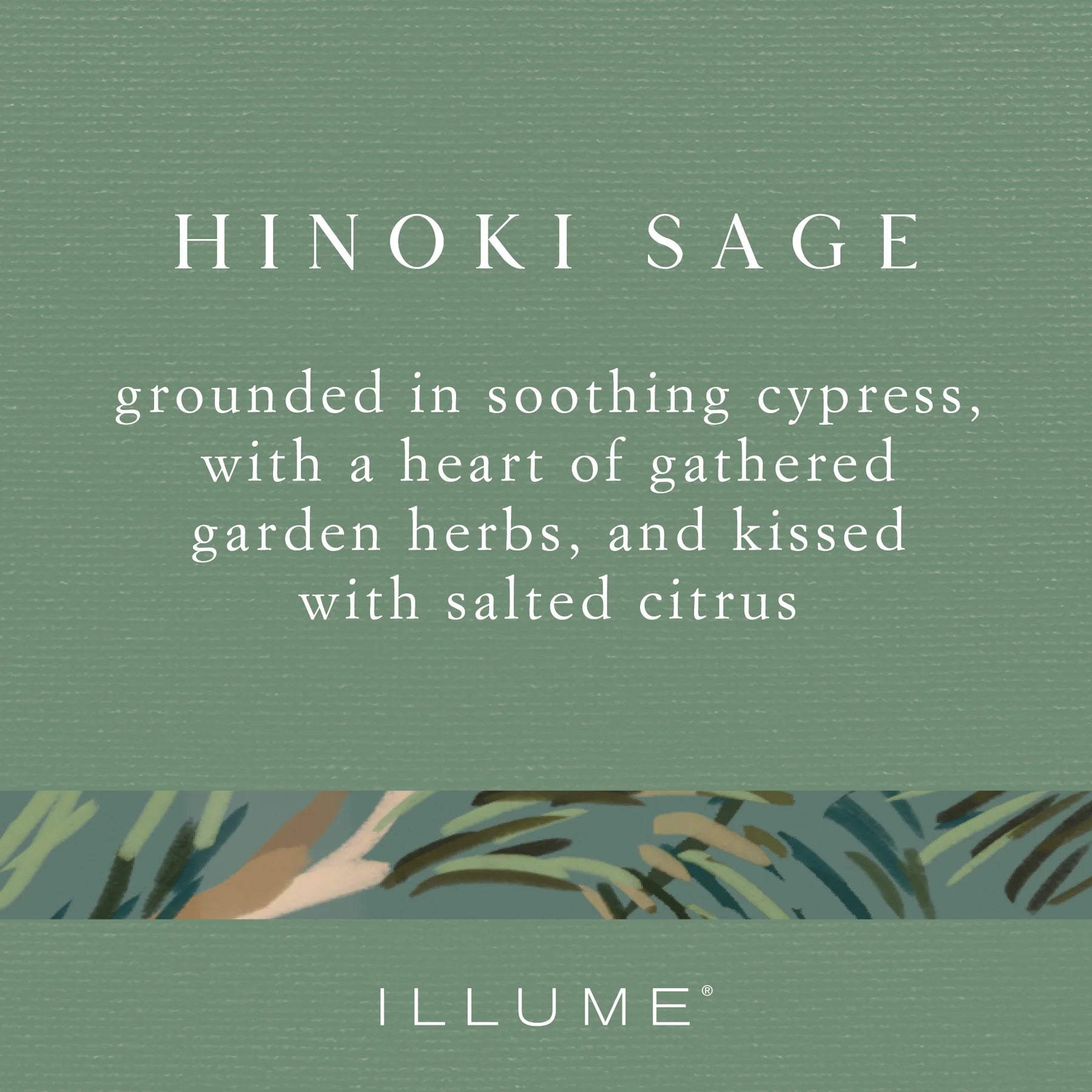 Illume Hinoki Sage Boxed Glass Candle
