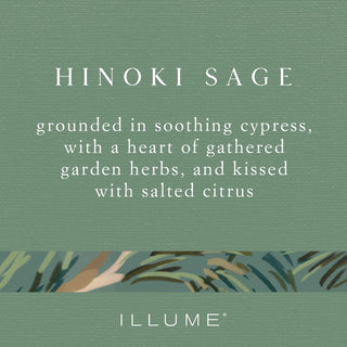 Illume Hinoki Sage Boxed Glass Candle