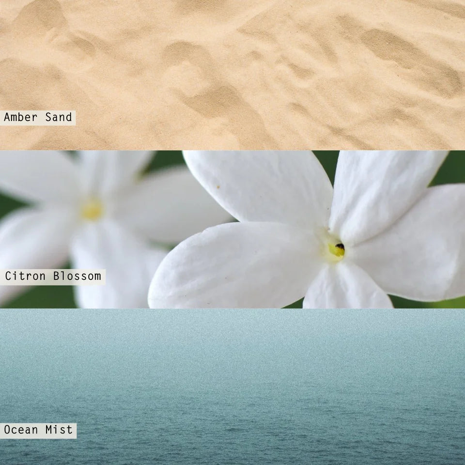 Illume Fresh Sea Salt Boxed Glass Candle