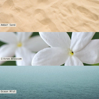 Illume Fresh Sea Salt Boxed Glass Candle