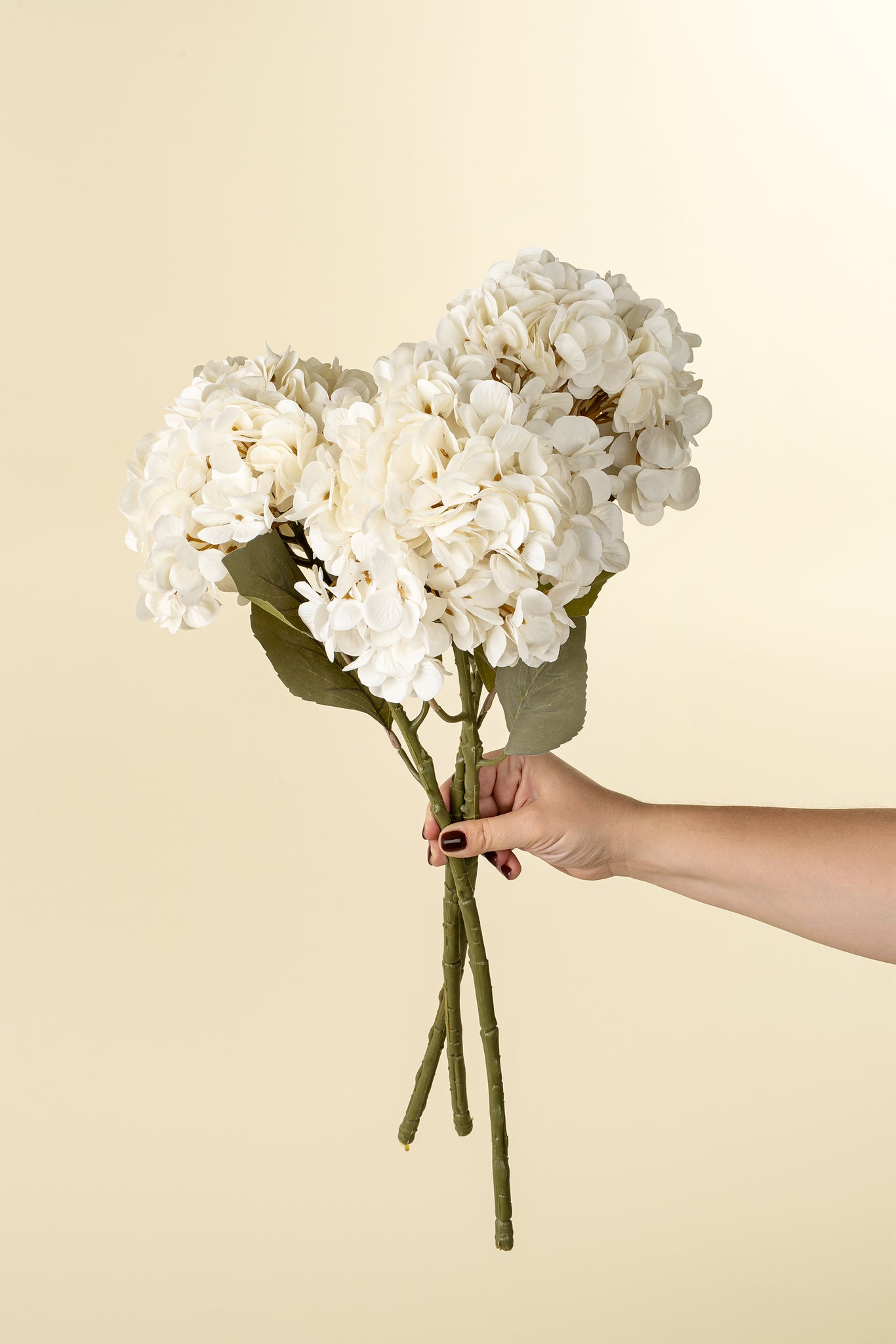 Hydrangea Floral Stem White