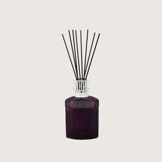 Maison Berger Alpha Plum Reed Diffuser Gift Set with Under the Olive Tree