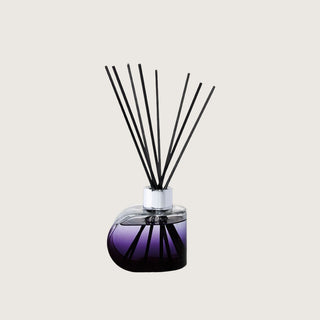 Maison Berger Alliance Violet Reed Diffuser with Paris Chic