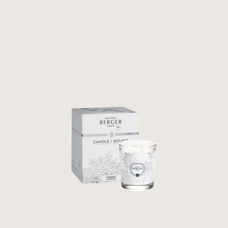 Maison Berger Hazelnut Scented Candle 240g
