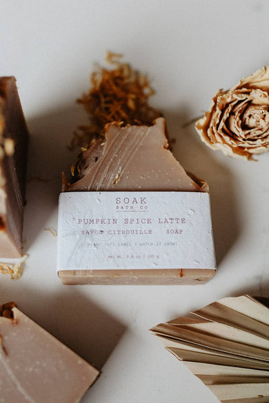 Pumpkin Spice Soap Bar - Fall Collection - Canadian Made