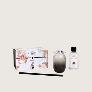 Maison Berger Evanescence Grey Reed Diffuser with Mystic Leather