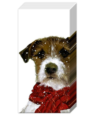 IHR Archie Pocket Tissues