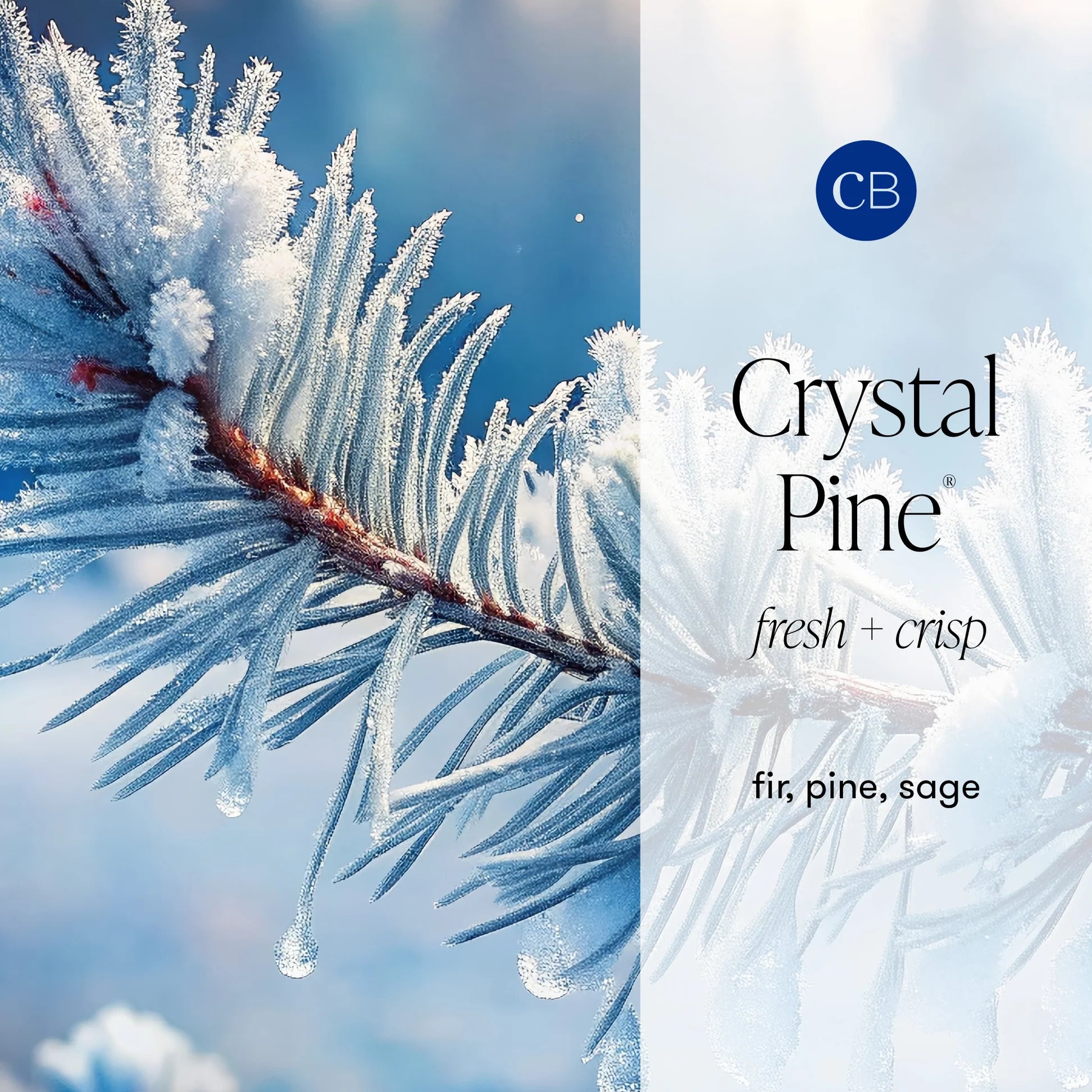 Capri Blue Crystal Pine Hand Wash