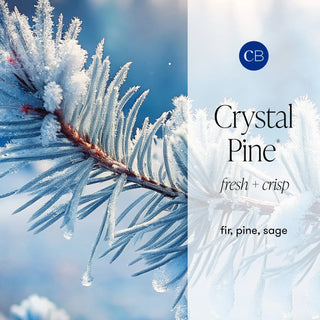 Capri Blue Crystal Pine Hand Wash