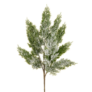 Flocked Cedar Spray 25
