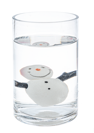 Grow Some Holiday Fun - Christmas Growers