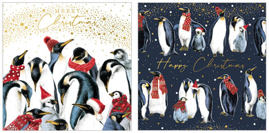 The Art File Penguins Boxed Christmas Cards