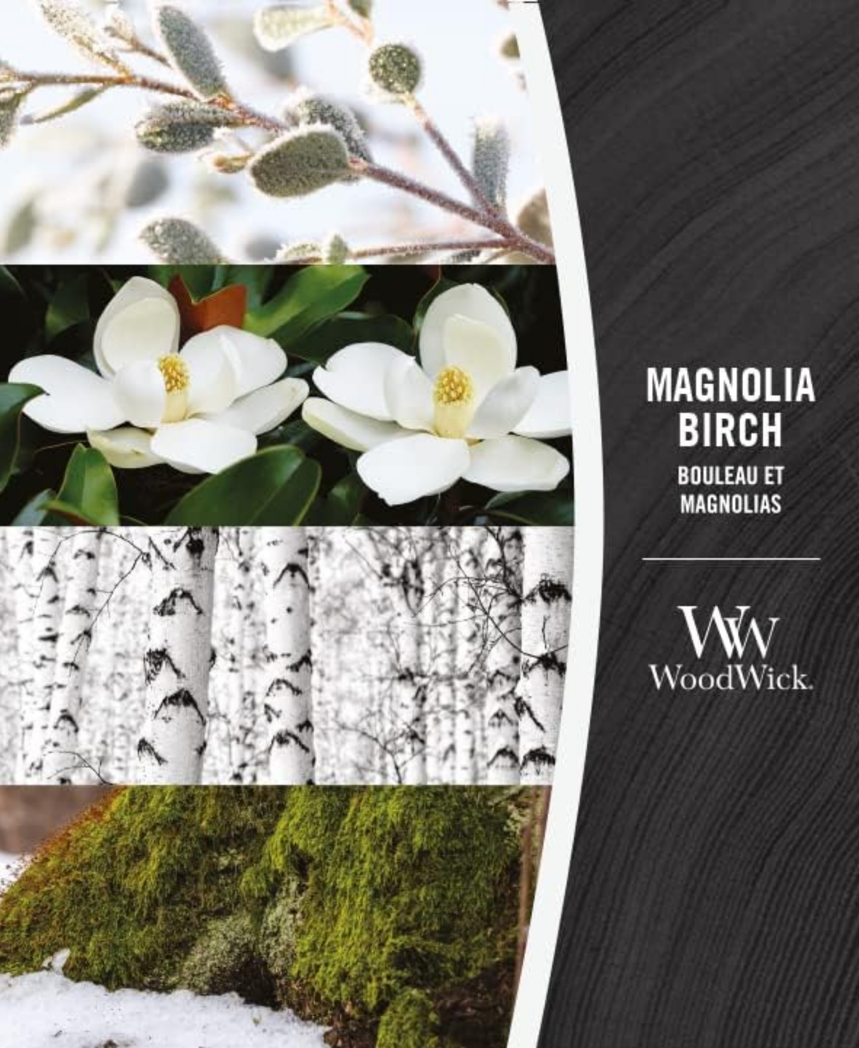 WoodWick Magnolia Birch Candle - Medium