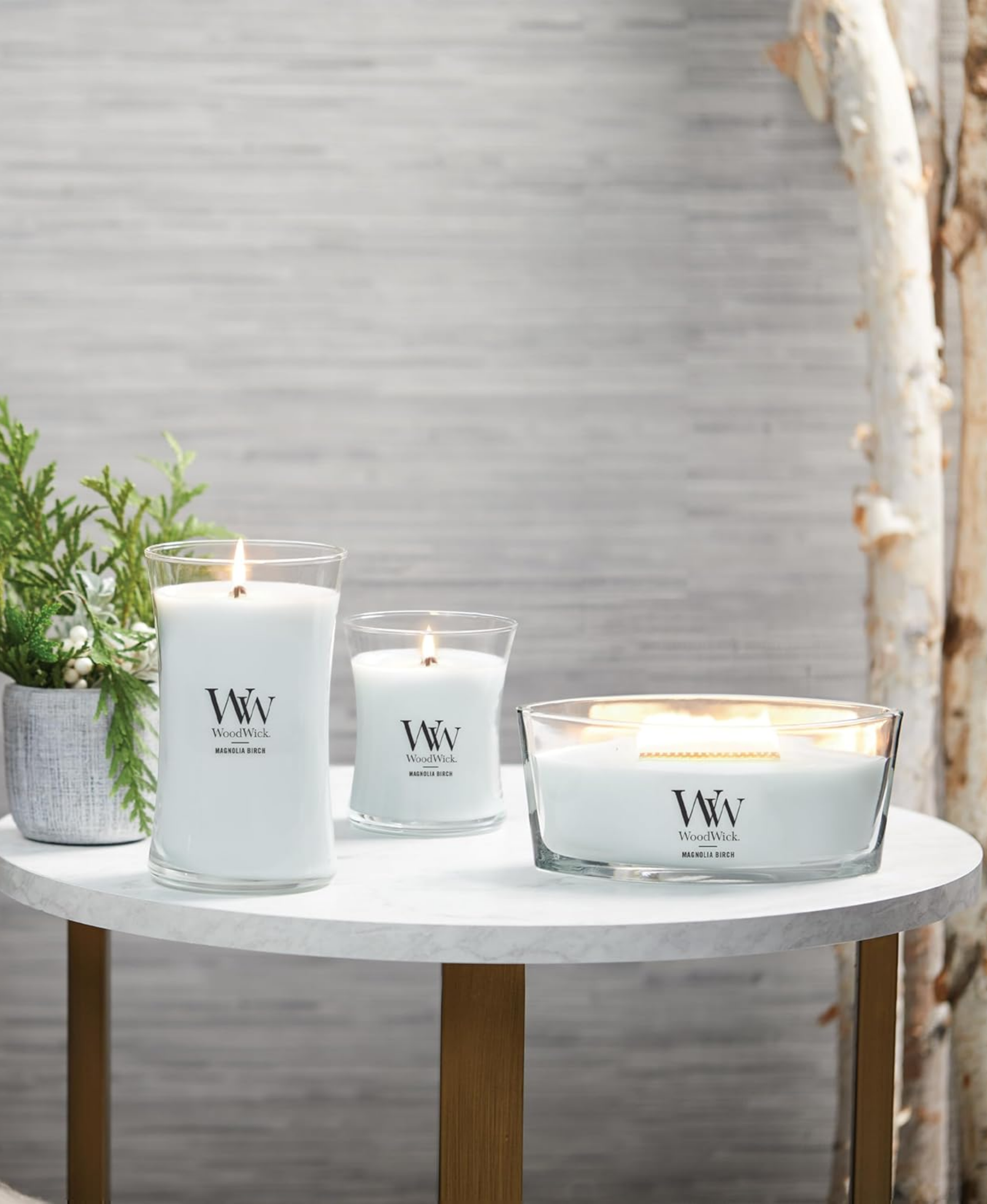 WoodWick Magnolia Birch Candle - Medium