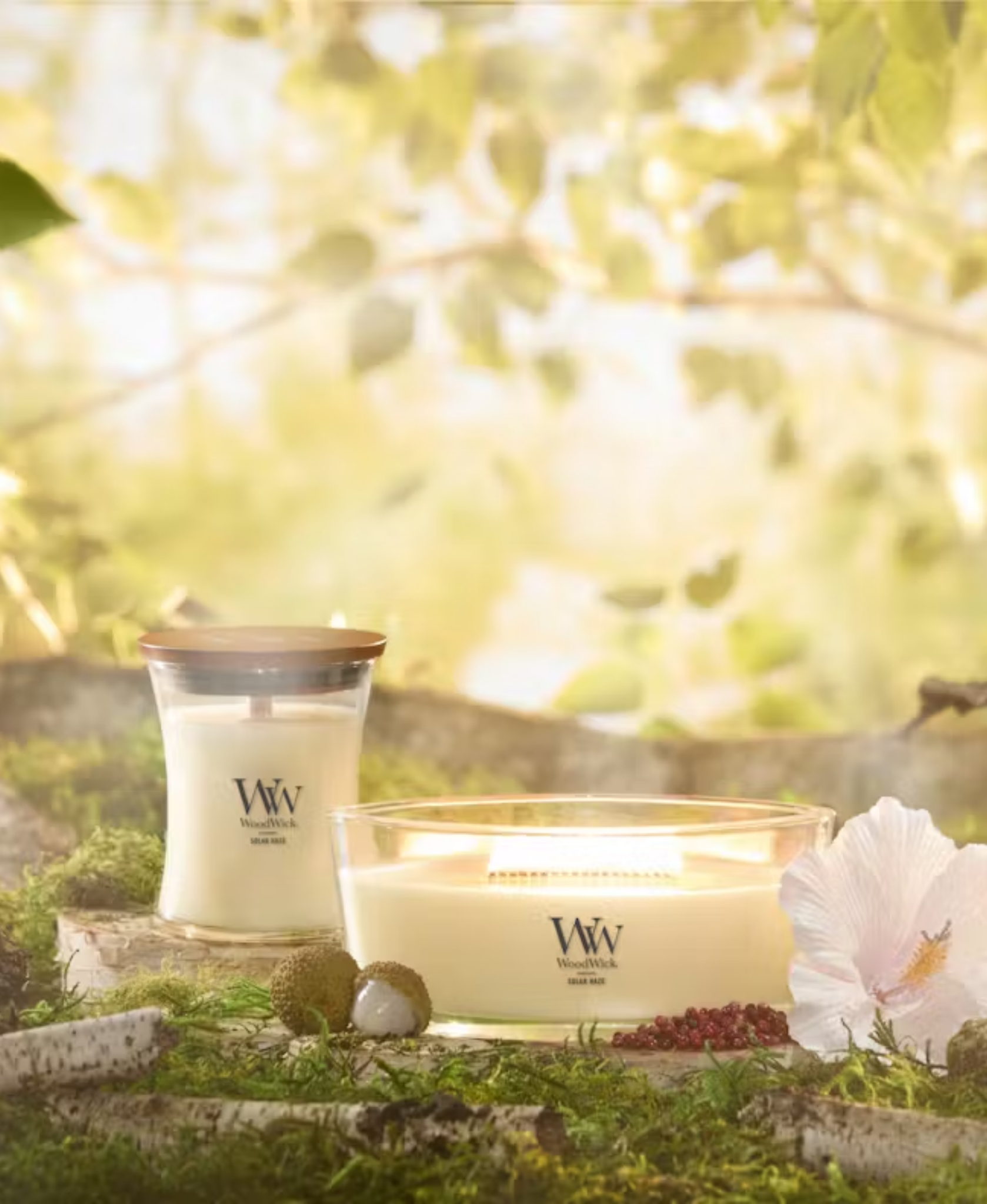 WoodWick Solar Haze Candle - Medium