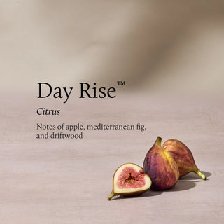 Thymes Day Rise Poured 2 Wick Candle 13 oz