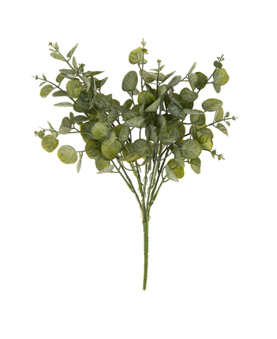 Eucalyptus Spray Stem - Green