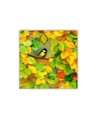 Paper+Design Fall is Here Cocktail Napkin