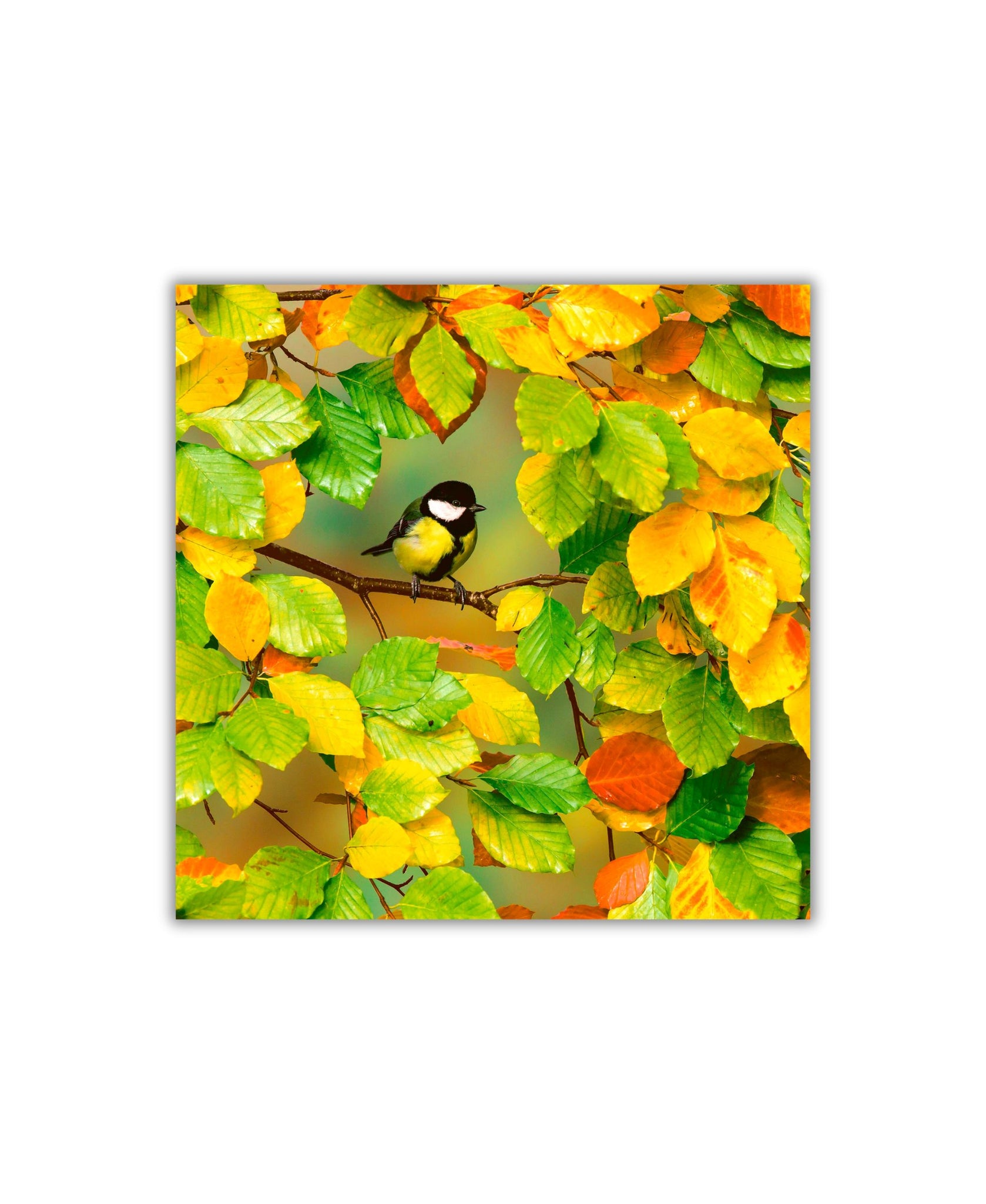 Paper+Design Fall is Here Luncheon Napkin